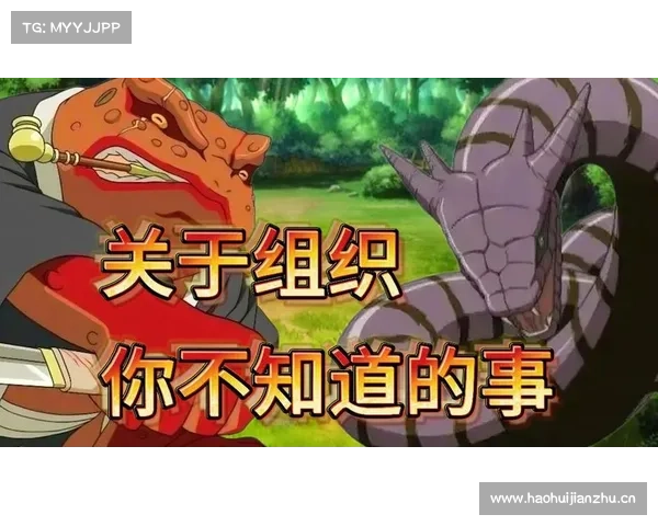 火影oll攻略 火影oll攻略