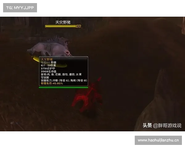 魔兽世界怀旧服:野猪技能学习指南 魔兽世界怀旧服:野猪技能学习指南